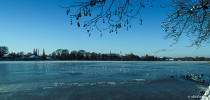 Eis & Schnee am Maschsee, Hannover, © by akkifoto.de