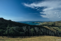 Port Jackson, Coromandel Peninsula, NZL, 17.03.2005 © by akkifoto.de