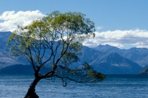 Lake Wanaka lookout, NZL, 28.05.2005 © by akkifoto.de