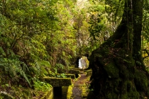 Levada Do Norte, Madeira, 2013 © by akkifoto.de