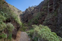 Blick zurück hinauf, Madeira, 2013 © by akkifoto.de