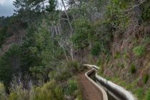 Levada Nova, Madeira, 2013 © by akkifoto.de