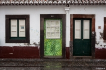 Gänseblümchen, Zona Velha, Funchal, Madeira, 02.03.2013 © by akkifoto.de