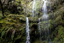 Levada Do Caldeirão Verde, Madeira, 04.03.2013 © by akkifoto.de