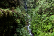 Levada Do Caldeirão Verde, Madeira, 04.03.2013 © by akkifoto.de