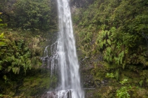 Levada Do Caldeirão Verde, Madeira, 04.03.2013 © by akkifoto.de