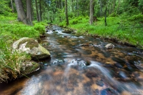 Warme Bode, Harz, 23.06.2013 © by akkifoto.de