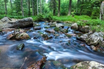 Warme Bode, Harz, 23.06.2013 © by akkifoto.de