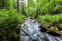 Warme Bode, Harz, 23.06.2013 © by akkifoto.de