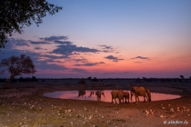 Waterhole Camp Okaukejo, Oshana, 11.10.2013 © by akkifoto.de