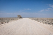 Auf dem Weg nach Halali, Oshikoto, 11.10.2013 © by akkifoto.de