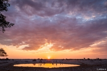 At the Waterhole, Camp Okaukejo, Oshana, 13.10.2013 © by akkifoto.de