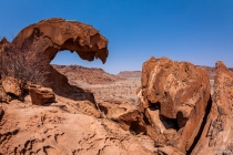 Lion's mouth, Twyfelfontein, Kunene, 16.10.2013 © by akkifoto.de