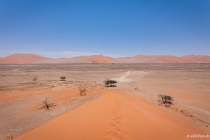 Am Fuß von Düne 45 Sossusvlei, Hardap, 18.10.2013 © by akkifoto.de