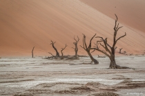 Row, Dead Vlei, Hardap, 19.10.2013 © by akkifoto.de