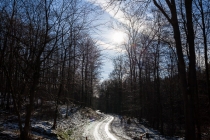 "iceflow", Kleiner Deister, Niedersachsen, 08.02.2015 © by akkifoto.de