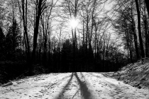 "divided", Kleiner Deister, Niedersachsen, 08.02.2015 © by akkifoto.de