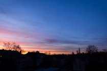 Frühlingsleuchten, Hannover, Niedersachsen, 08.03.2015 © by akkifoto.de