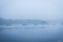 Lough Leane, Killarney-Nationalpark, Munster, 14.10.2014 © by akkifoto.de