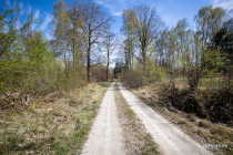 Tillyschanze, Hann. Münden, Niedersachsen, Deutschland, 17. April 2022 © by akkifoto.de