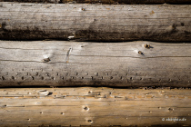 Reinhardswald, Hann. Münden, Niedersachsen, Deutschland, 17. April 2022 © by akkifoto.de