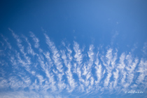 Reinhardswald, Hann. Münden, Niedersachsen, Deutschland, 17. April 2022 © by akkifoto.de