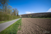 Fuldabogen , Hann. Münden, Niedersachsen, Deutschland, 17. April 2022 © by akkifoto.de