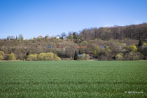 Fuldabogen , Hann. Münden, Niedersachsen, Deutschland, 17. April 2022 © by akkifoto.de