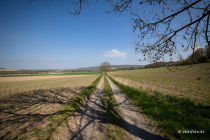 Niesetalweg, Nordrhein-Westfalen, Deutschland, 17. April 2022 © by akkifoto.de