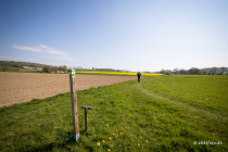 Niesetalweg, Nordrhein-Westfalen, Deutschland, 17. April 2022 © by akkifoto.de