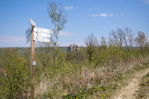 Schwalenberg, Niesetalweg, Nordrhein-Westfalen, Deutschland, 17. April 2022 © by akkifoto.de