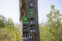 Schwalenberg, Niesetalweg, Nordrhein-Westfalen, Deutschland, 17. April 2022 © by akkifoto.de