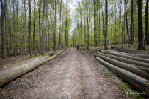 Niesetalweg, Nordrhein-Westfalen, Deutschland, 17. April 2022 © by akkifoto.de