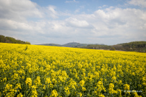 Niesetalweg, Nordrhein-Westfalen, Deutschland, 17. April 2022 © by akkifoto.de