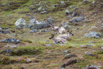 Besseggen, Jotunheimen-Nationalpark, Oppland, Østlandet, Norwegen, 24. Juni 2019 © by akkifoto.de