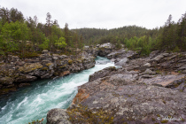 Ridderspranget, Jotunheimen-Nationalpark, Oppland, Østlandet, Norwegen, 25. Juni 2019 © by akkifoto.de