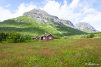 Øvstestølbrua, Valldal, Møre og Romsdal, Vestlandet, Norwegen, 26. Juni 2019 © by akkifoto.de