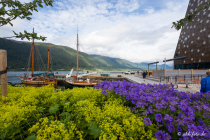 Åndalsnes, Møre og Romsdal, Vestlandet, Norwegen, 26. Juni 2019 © by akkifoto.de