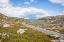 Strynefjell, Oppland,  Østlandet, Norwegen, 30. Juni 2019 © by akkifoto.de