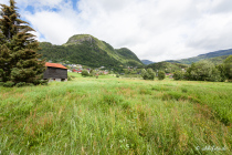 Røldal,  Hordaland, Vestlandet, Norwegen, 02. Juli 2019 © by akkifoto.de